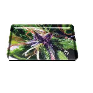 Be Lit Large Rolling Tray, Macro Buds